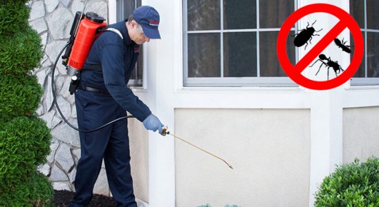 Koçarlı Fare İlaçlama böcek ilaçlama ve haşere kontrolü — ilaclama-tr.com